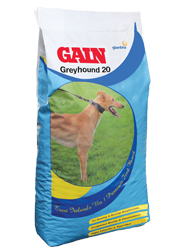 greyhound-20